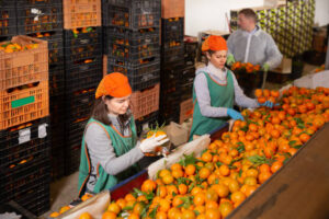 Fruit and Veg Team Member jobs in Australia