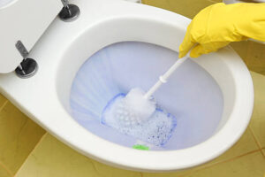 Washroom Cleaner jobs in New Zealand