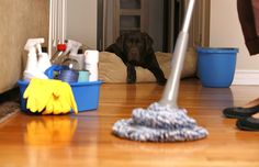 Home Cleaner Jobs in Canada 