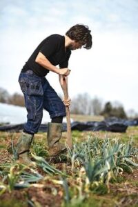 Junior Farm Hand Jobs in Auckland 