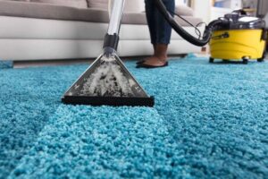 The Carpet Cleaner Jobs in Auckland