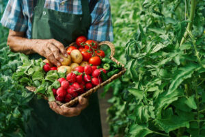 Farm worker vegetables jobs in Canada 