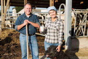 Dairy Farm Assistant Jobs In Auckland 