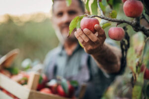 Fruit Farm worker jobs in Canada