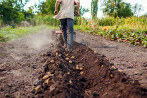 worker farm Jobs In Canada