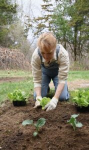 Junior Farm Hand Jobs in New Zealand 