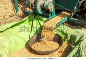 Grain Farm Worker Jobs in Canada 