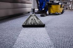 The Carpet Cleaner Jobs in Auckland 