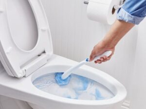 Washroom Cleaner Jobs in New Zealand 