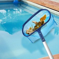 Pool Cleaner Jobs in Dubai 