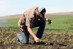 Farm Foreman Jobs in Dubai 