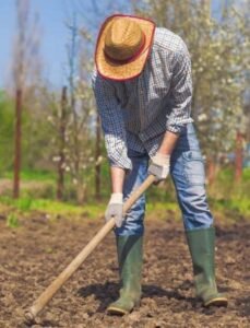 Farm Foreman Jobs in Dubai